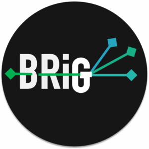 BriG_CSP-innova-logo